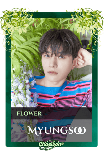 Myungsoo