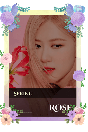 Rose