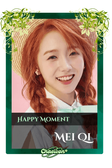 Mei Qi
