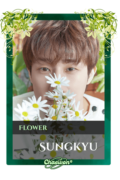 Sungkyu