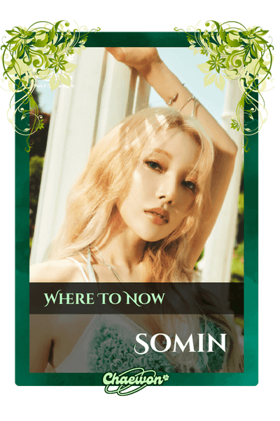 Somin