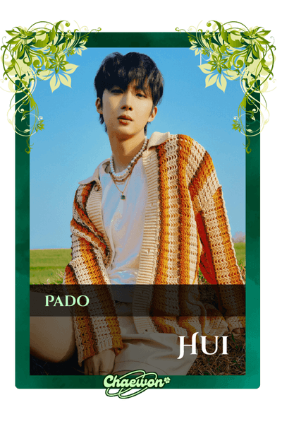 Hui