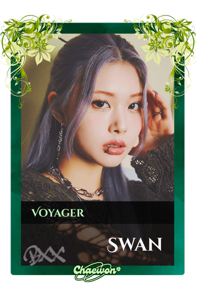 Swan