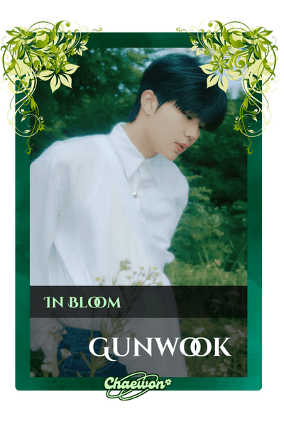 Gunwook