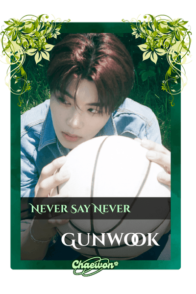 Gunwook