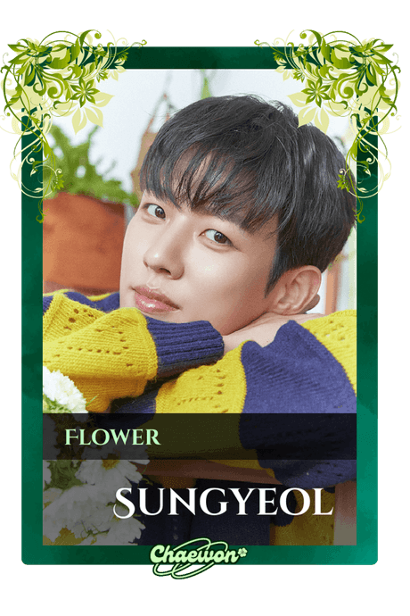 Sungyeol