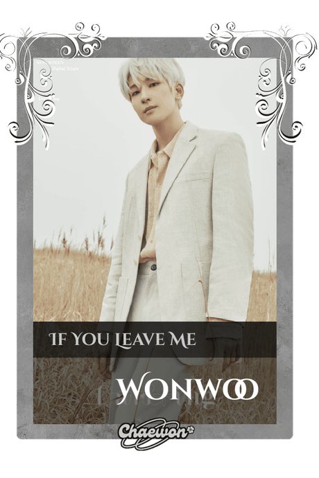 Wonwoo