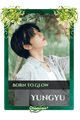 Yungyu