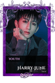 Harry-June