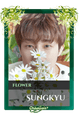 Sungkyu