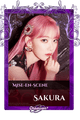 Sakura
