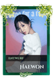Haewon