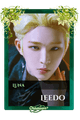 Leedo