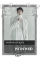 Wonwoo