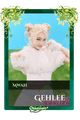 Gehlee