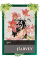 Harvey